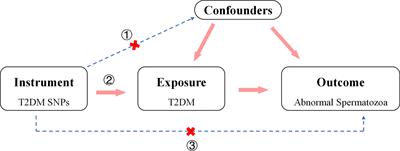 Type 2 diabetes mellitus and the risk of abnormal spermatozoa: A Mendelian randomization study